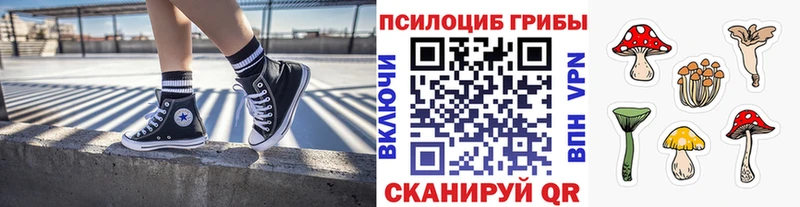 купить закладку  Фатеж  Галлюциногенные грибы мухоморы 